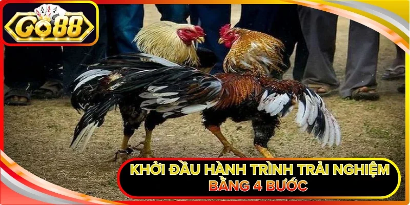 Khởi đầu hành trình trải nghiệm bằng 4 bước 
