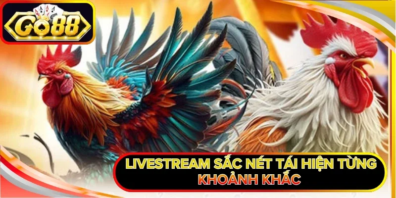 Livestream sắc nét tái hiện từng khoảnh khắc  